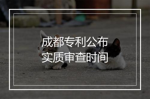 成都专利公布实质审查时间