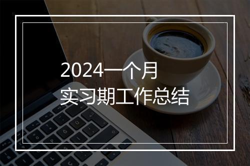 2024一个月实习期工作总结