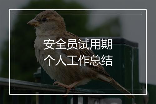 安全员试用期个人工作总结