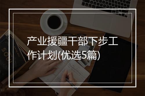 产业援疆干部下步工作计划(优选5篇)
