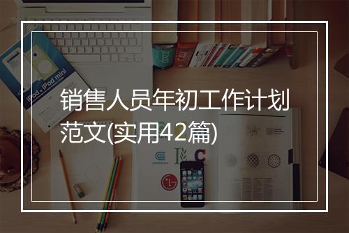 销售人员年初工作计划范文(实用42篇)