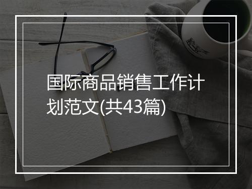 国际商品销售工作计划范文(共43篇)