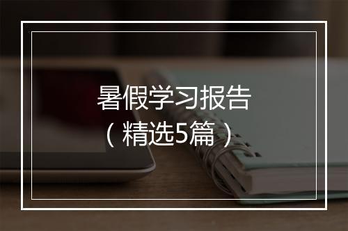 暑假学习报告（精选5篇）