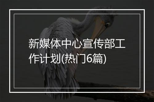 新媒体中心宣传部工作计划(热门6篇)