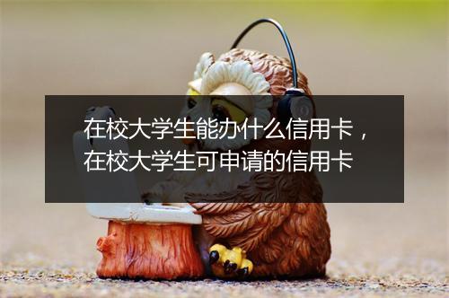 在校大学生能办什么信用卡，在校大学生可申请的信用卡