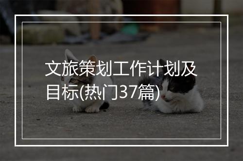 文旅策划工作计划及目标(热门37篇)