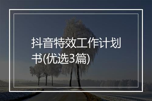 抖音特效工作计划书(优选3篇)