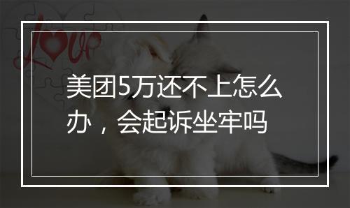 美团5万还不上怎么办，会起诉坐牢吗