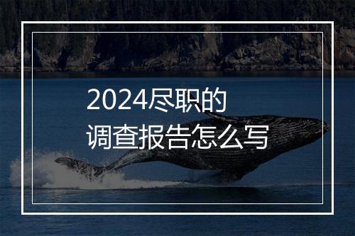2024尽职的调查报告怎么写
