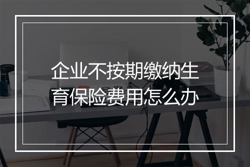 企业不按期缴纳生育保险费用怎么办