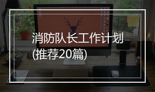 消防队长工作计划(推荐20篇)