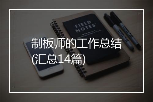 制板师的工作总结(汇总14篇)