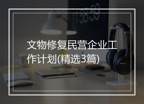 文物修复民营企业工作计划(精选3篇)