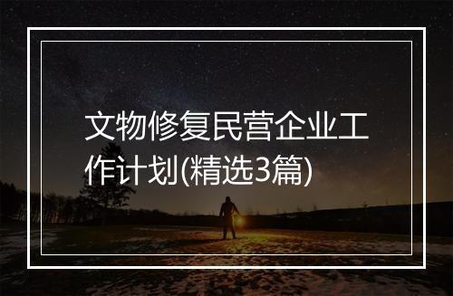 文物修复民营企业工作计划(精选3篇)
