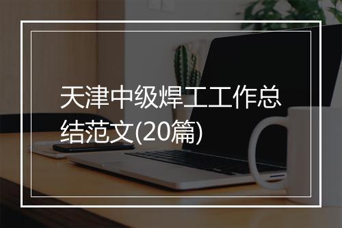 天津中级焊工工作总结范文(20篇)