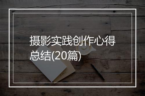 摄影实践创作心得总结(20篇)