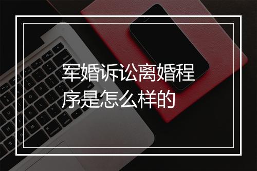 军婚诉讼离婚程序是怎么样的