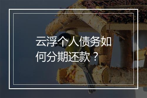 云浮个人债务如何分期还款？