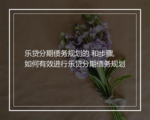 乐贷分期债务规划的 和步骤,如何有效进行乐贷分期债务规划