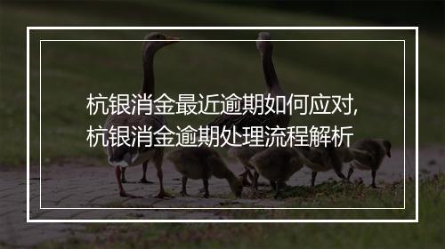 杭银消金最近逾期如何应对,杭银消金逾期处理流程解析