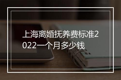 上海离婚抚养费标准2022一个月多少钱