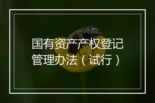 国有资产产权登记管理办法（试行）