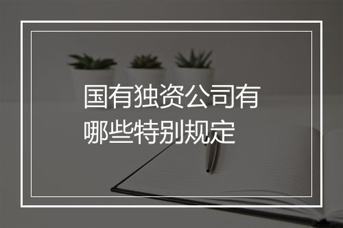 国有独资公司有哪些特别规定