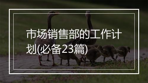 市场销售部的工作计划(必备23篇)