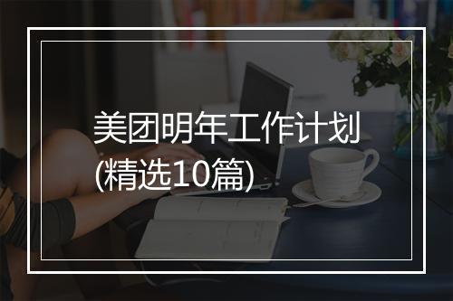 美团明年工作计划(精选10篇)