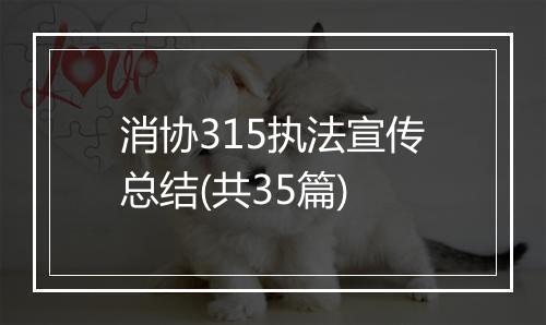 消协315执法宣传总结(共35篇)