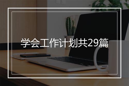 学会工作计划共29篇