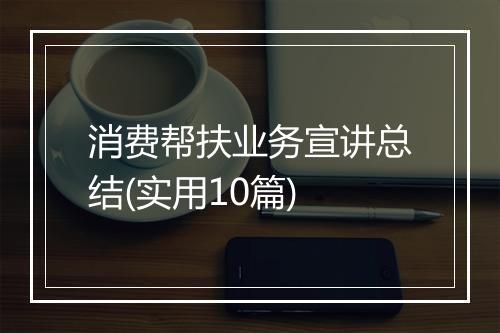 消费帮扶业务宣讲总结(实用10篇)