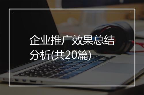 企业推广效果总结分析(共20篇)