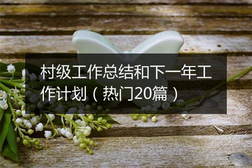 村级工作总结和下一年工作计划（热门20篇）