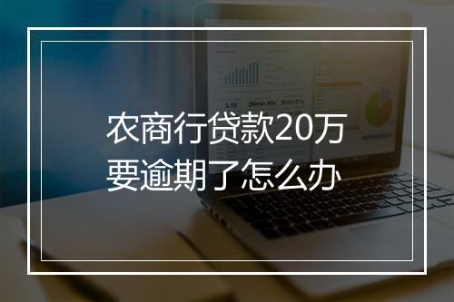 农商行贷款20万要逾期了怎么办