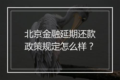 北京金融延期还款政策规定怎么样？