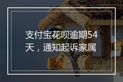 支付宝花呗逾期54天，通知起诉家属