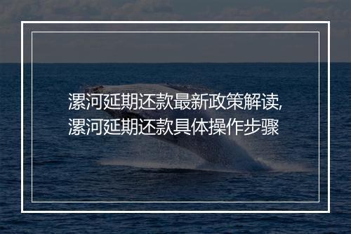 漯河延期还款最新政策解读,漯河延期还款具体操作步骤