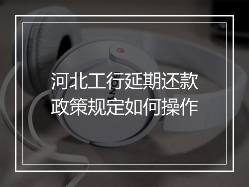 河北工行延期还款政策规定如何操作