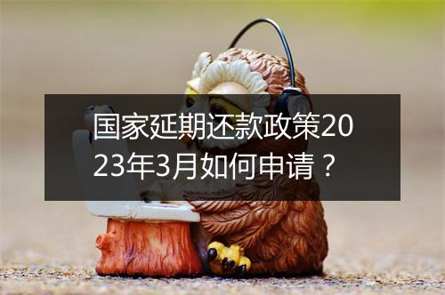 国家延期还款政策2023年3月如何申请？