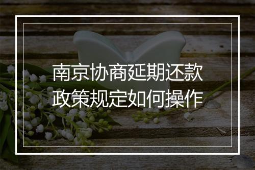 南京协商延期还款政策规定如何操作