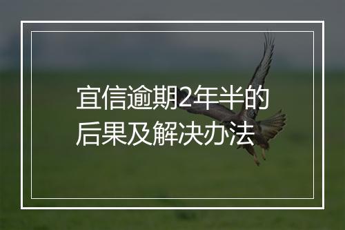 宜信逾期2年半的后果及解决办法