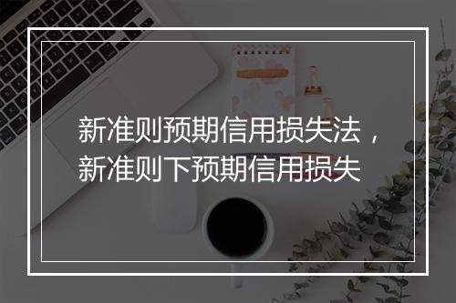 新准则预期信用损失法，新准则下预期信用损失