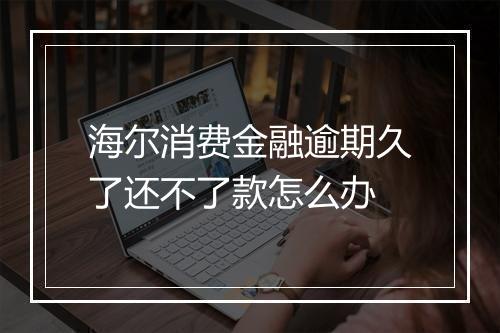 海尔消费金融逾期久了还不了款怎么办