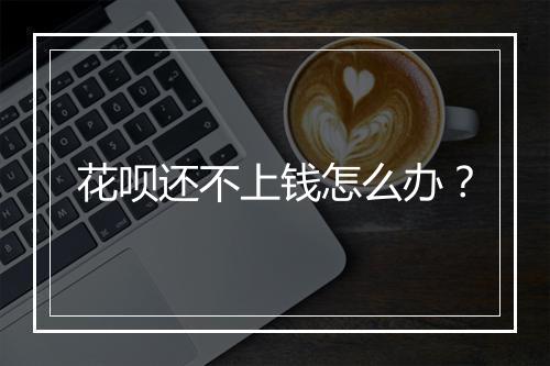 花呗还不上钱怎么办？