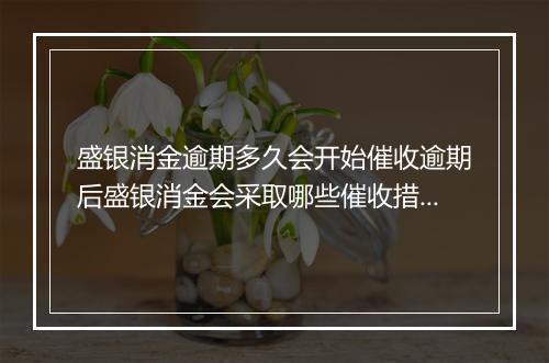 盛银消金逾期多久会开始催收逾期后盛银消金会采取哪些催收措施