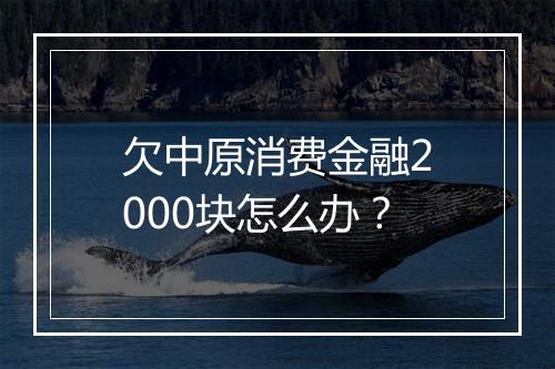 欠中原消费金融2000块怎么办？