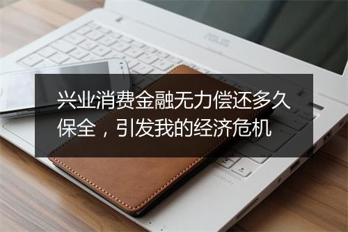 兴业消费金融无力偿还多久保全，引发我的经济危机