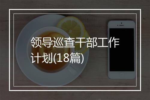领导巡查干部工作计划(18篇)