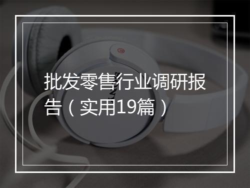 批发零售行业调研报告（实用19篇）